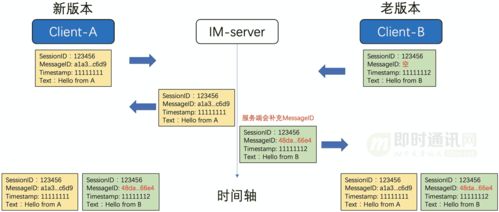 亿级IM消息系统的可靠投递优化实践 基于生物质能资源数据库信息系统的借鉴与融合